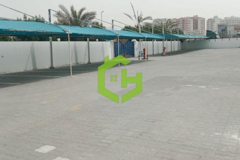 Birojs Al Qusais, Dubaijā, AAE 545 m2 Nr. 421647 - attēls 15
