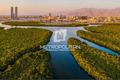 Müüa korter asukohaga Mina Al Arab, Ras Al Khaimah, AÜE: 2 magamistoaga, 150 m² Nr 479246 - pilt 10
