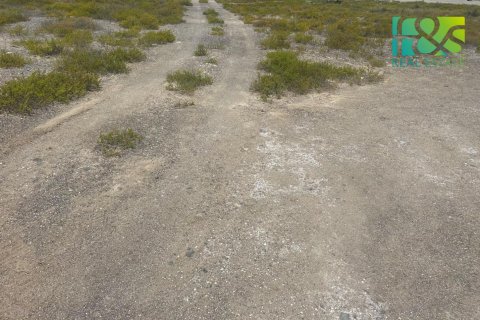 קרקע למכירה ב Ras Al Khaimah, איחוד האמירויות  650.4 מ"ר, מספר 458592 - תמונה 5