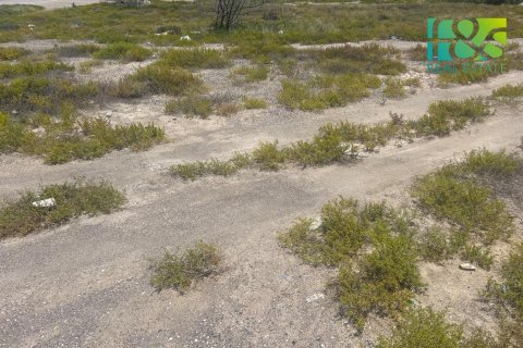 קרקע למכירה ב Ras Al Khaimah, איחוד האמירויות  650.4 מ"ר, מספר 458592 - תמונה 3