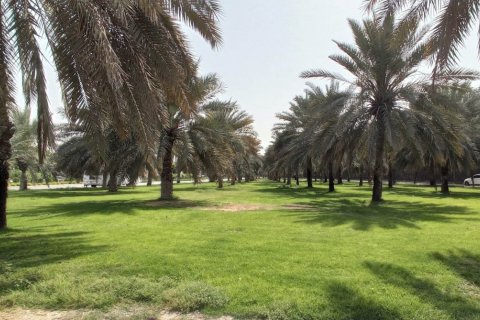 Sharjah Airport Freezone (SAIF) - تصویر 5