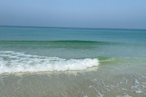 Dzīvoklis SEASIDE HILLS Al Zorah, Ajmanjā, AAE 1 istaba, 81 m2 Nr. 705350 - attēls 26