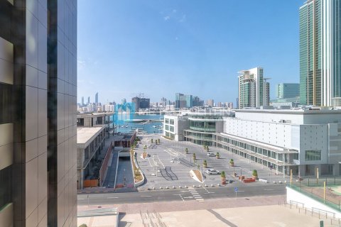 Lakás itt: Al Reem Island, Abu Dhabi, EAE, 3 hálószoba, 248 m², azonosító: 601092 - fénykép 23