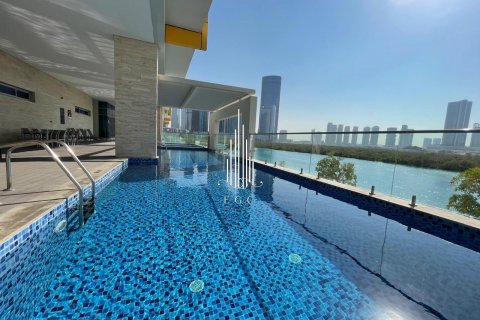 آپارتمان برای فروش در  Al Reem Island، Abu Dhabi، امارات متحده عربی  2 خوابه ، 120.2 متر مربع ، شماره 585216 - تصویر 29
