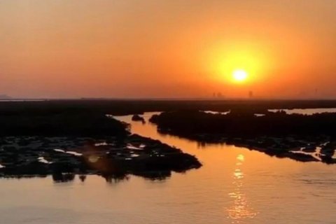 Yas Island, Abu Dhabi, संयुक्त अरब अमीरात में ज़मीन, 1000 वर्ग मीटर, संख्या 717418 - फ़ोटो 3
