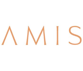 AMIS Development
