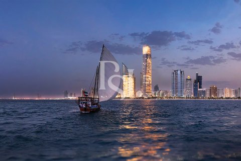 阿联酋 Abu Dhabi Saadiyat Island 待售 : 2 卧, 205 平方米 , 编号716402 - 照片 11