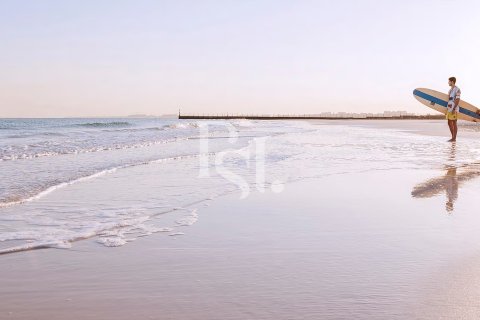 阿联酋 Abu Dhabi Saadiyat Island 待售 : 2 卧, 205 平方米 , 编号716402 - 照片 10