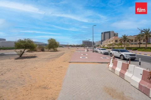 阿联酋 Dubai Wadi Al Safa 2 待售 : 495.1 平方米 , 编号610417 - 照片 8