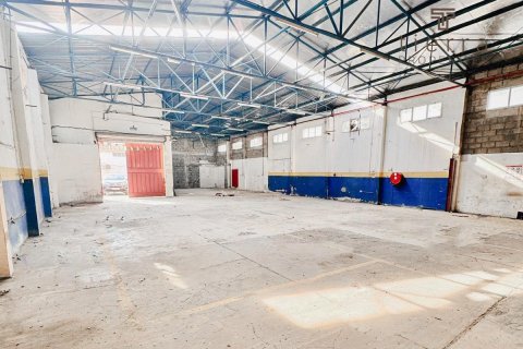Magazinë në Deira, Dubai, Emiratet e Bashkuara Arabe 696.8 m2. № 571574