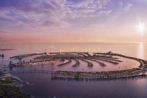Palm Jebel Ali, Dubai, UAE의 판매용 빌라 침실 7개, 1128제곱미터 번호 665234 - 사진 10