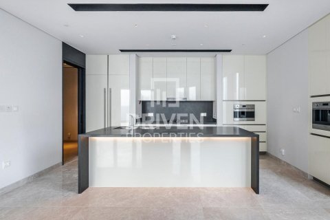 Penthouse lakás itt: Downtown Dubai (Downtown Burj Dubai), Dubai, EAE, 4 hálószoba, 492.39 m², azonosító: 761644 - fénykép 20