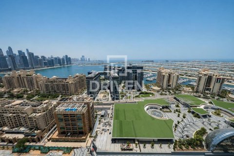 Palm Jumeirah, Dubai, संयुक्त अरब अमीरात में अपार्टमेंट, 1 कमरा, 48.68 वर्ग मीटर, संख्या 767943 - फ़ोटो 11