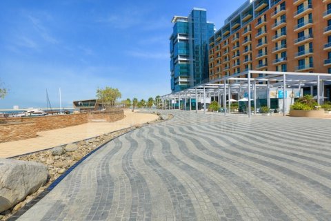 دوبلکس برای اجاره در Al Raha Beach، Abu Dhabi، امارات متحده عربی 2 خوابه ، 163.7 متر مربع ، شماره 410445 - تصویر 3