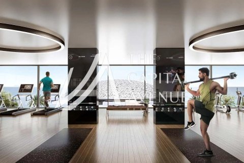 阿联酋 Abu Dhabi Saadiyat Island 待售 : 2 卧, 154.13 平方米 , 编号754541 - 照片 8