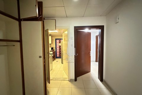 ساختمان برای اجاره در Al Khalidiya، Abu Dhabi، امارات متحده عربی 297.3 متر مربع ، شماره 557415 - تصویر 7