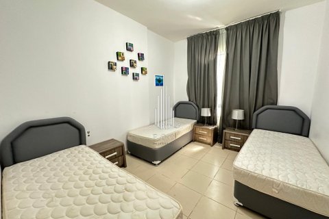 ساختمان برای اجاره در Al Khalidiya، Abu Dhabi، امارات متحده عربی 297.3 متر مربع ، شماره 557415 - تصویر 2
