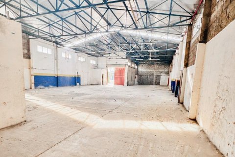 Lagerhaus zur Miete in Deira, Dubai, VAE 696.8 m2 Nr. 571586 - Foto 2