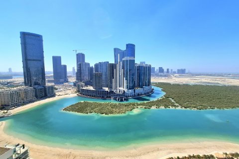 Střešní byt v Al Reem Island, Abu Dhabi, SAE 4 ložnice, 545.7 m² Č.: 534165