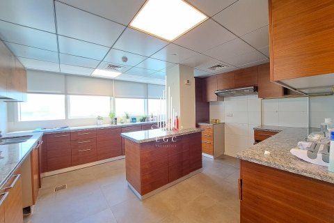 Üürile anda dupleks asukohaga Al Reem Island, Abu Dhabi, AÜE: 5 magamistoaga, 393.4 m² Nr 476939 - pilt 13