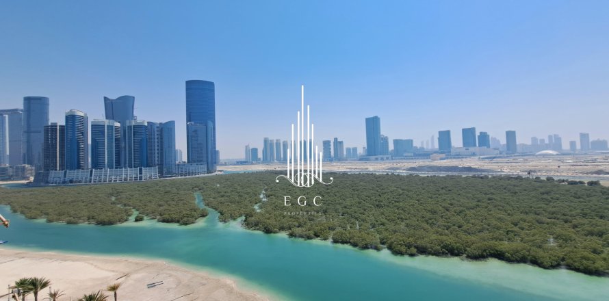 Dupleks asukohaga Al Reem Island, Abu Dhabi, AÜE: 5 magamistoaga, 393.4 m² Nr 476939
