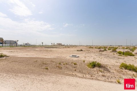 Jebel Ali, Dubai, BAE’de satılık arsa 1030.7 m&sup2; No 721015 - fotoğraf 3