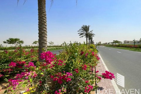 Terreno in vendita a Palm Jebel Ali, Dubai, EAU 1717.41 mq. № 420424 - foto 2