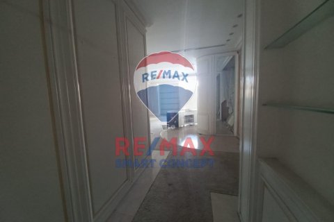 Al Bateen, Abu Dhabi, UAE의 임대용 상업용 부동산 650.3제곱미터 번호 570246 - 사진 29