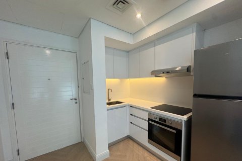Apartment til salg i Downtown Dubai (Downtown Burj Dubai), Dubai, UAE 1 værelse, 43.52 kvm № 764203 - foto 10