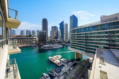 Dubai Marina、Dubai、UAE にあるマンション販売中 1ベッドルーム、81.6 m2、No595239 - 写真 13