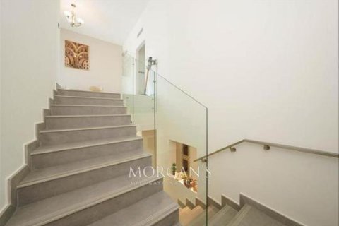 Villa itt: Meydan, Dubai, EAE, 4 hálószoba, 187.2 m², azonosító: 536607 - fénykép 38
