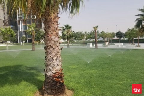 Business Bay, Dubai, संयुक्त अरब अमीरात में अपार्टमेंट, 43.7 वर्ग मीटर, संख्या 694224 - फ़ोटो 15