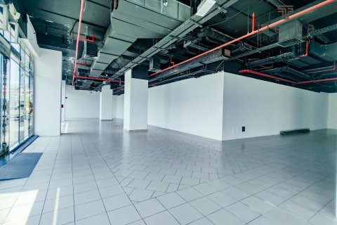 Dubai Silicon Oasis、Dubai、UAE にある店舗の賃貸物件 232.3 m2、No567167 - 写真 2
