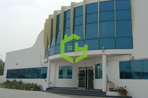 Al Qusais, Dubai, संयुक्त अरब अमीरात में कार्यालय, 545 वर्ग मीटर, संख्या 528922 - फ़ोटो 16